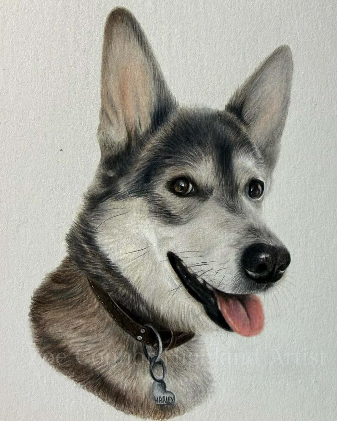 Framed custom pencil portrait of a dog